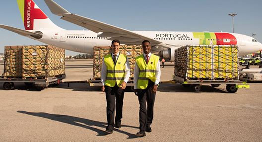 A TAP Air Cargo tem 4 novos destinos para a sua carga: Santiago, Guaiaquil, Montevidéu e Buenos Aires