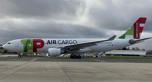 Imagem lateral de uma aeronave Wide-Body parada na pista. Contém o logótipo da TAP Air Cargo na lateral e, no leme, o logótipo da TAP Air Portugal. 